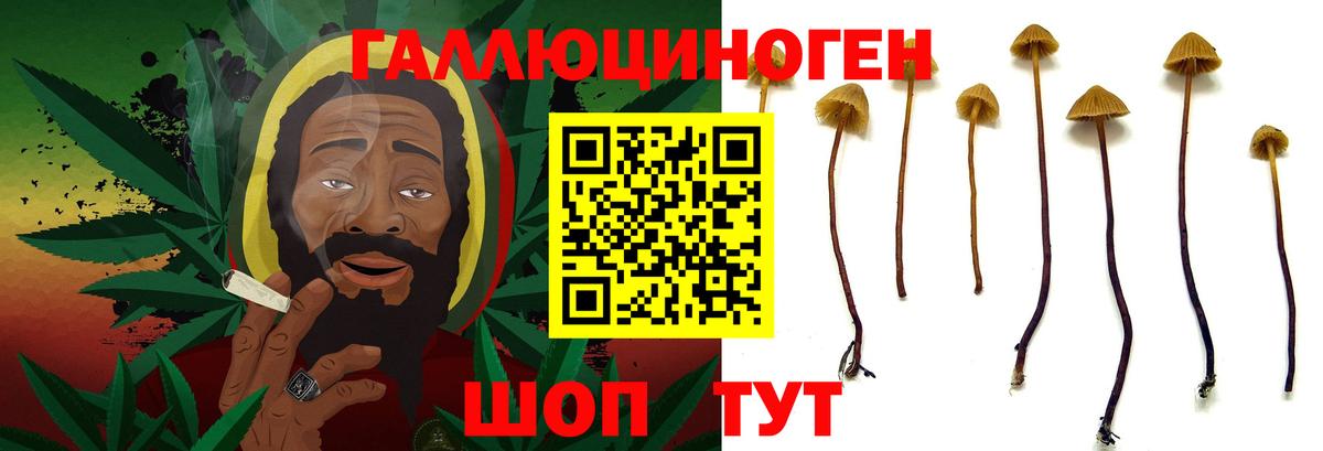 Псилоцибиновые грибы Magic Shrooms  Псилоцибиновые грибы Psilocybe  Шелехов  Вход с VPN 